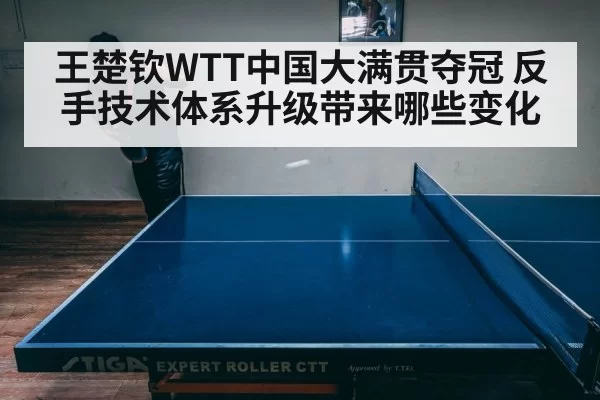 table tennis player match